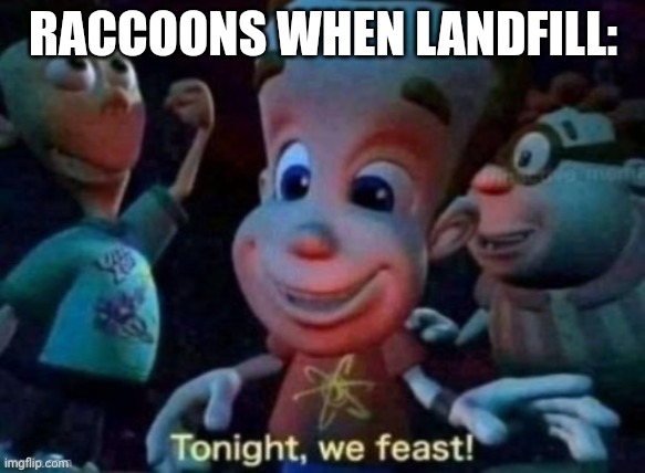 yes | RACCOONS WHEN LANDFILL: | image tagged in tonight we feast | made w/ Imgflip meme maker