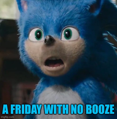 Sonic Movie | A FRIDAY WITH NO BOOZE | image tagged in sonic movie | made w/ Imgflip meme maker