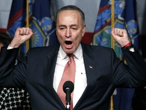 Angry Chuck Schumer yelling Blank Meme Template