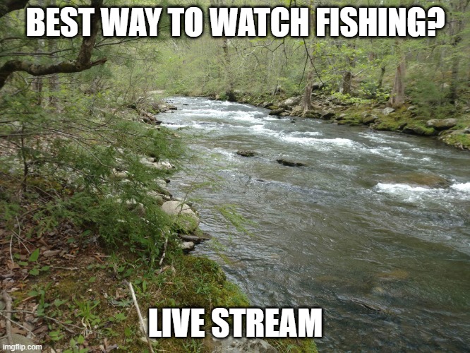 Run | BEST WAY TO WATCH FISHING? LIVE STREAM | image tagged in fly fisherman | made w/ Imgflip meme maker