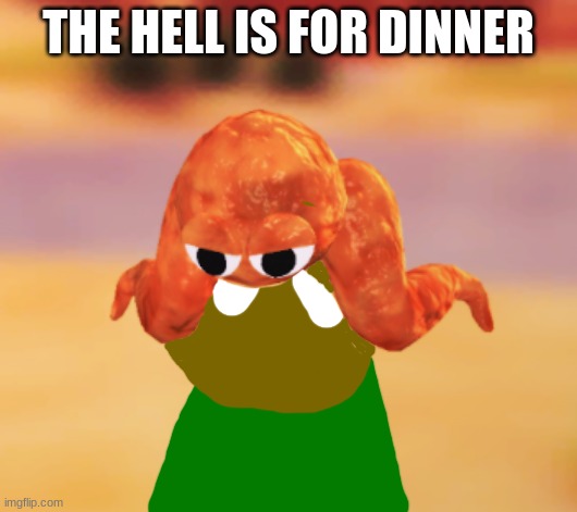 cinna with the buffalocust wig | THE HELL IS FOR DINNER | image tagged in cinna with the buffalocust wig | made w/ Imgflip meme maker