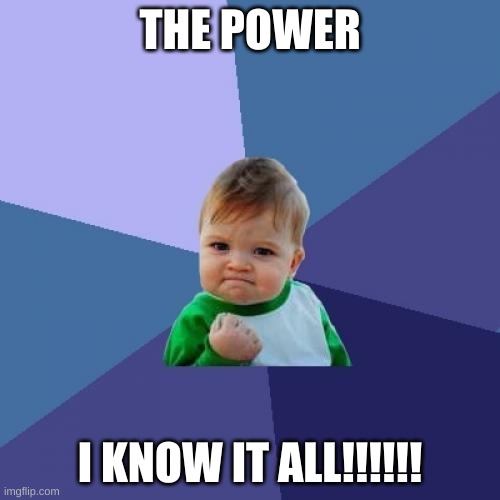 Success Kid | THE POWER; I KNOW IT ALL!!!!!! | image tagged in memes,success kid | made w/ Imgflip meme maker