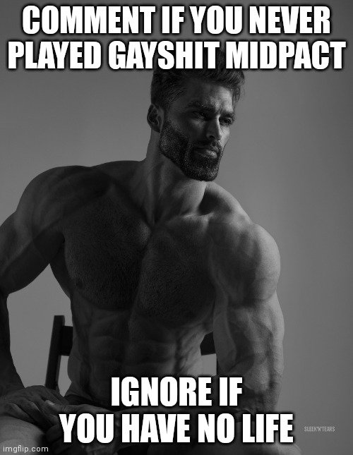 the g | COMMENT IF YOU NEVER PLAYED GAYSHIT MIDPACT; IGNORE IF YOU HAVE NO LIFE | image tagged in giga chad | made w/ Imgflip meme maker