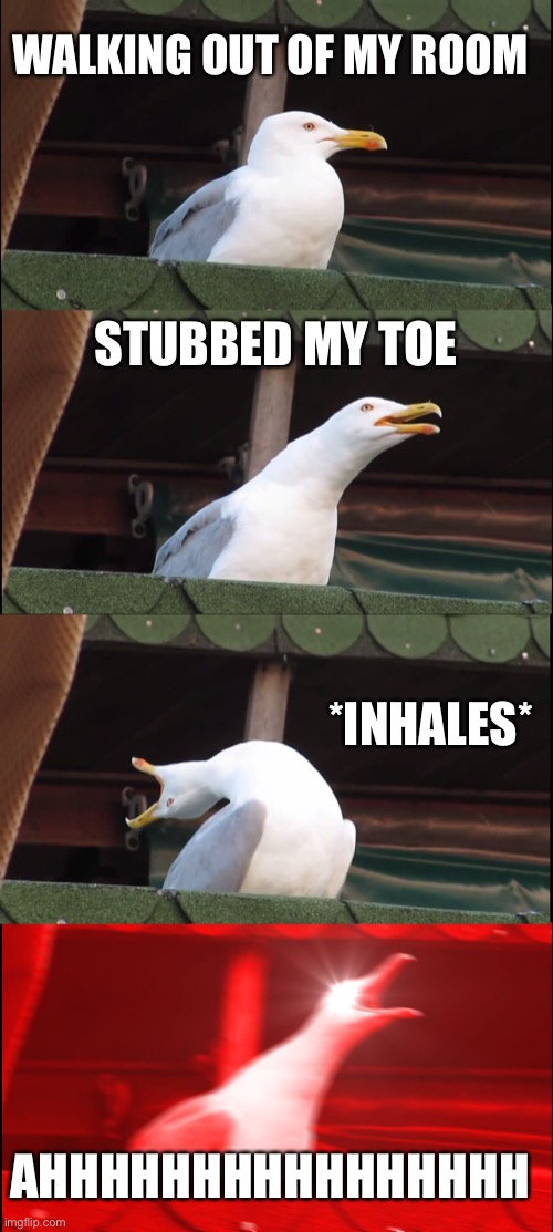 I hate stubbing my toe | WALKING OUT OF MY ROOM; STUBBED MY TOE; *INHALES*; AHHHHHHHHHHHHHHHH | image tagged in memes,inhaling seagull | made w/ Imgflip meme maker