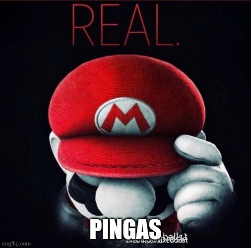 Real | PINGAS | image tagged in real | made w/ Imgflip meme maker