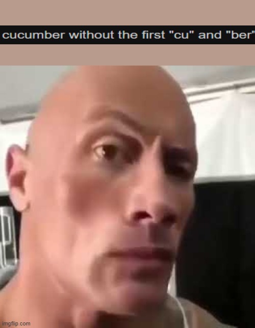 The Rock Eyebrows | image tagged in the rock eyebrows | made w/ Imgflip meme maker