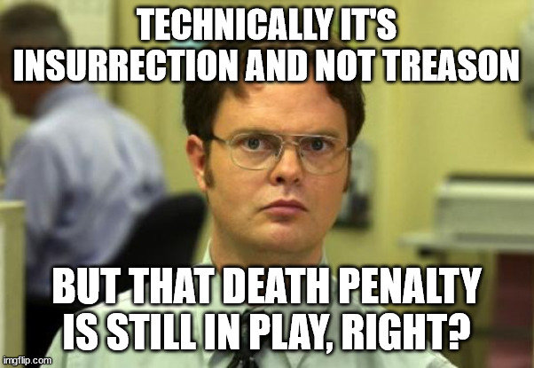 Dwight Schrute Meme | TECHNICALLY IT'S INSURRECTION AND NOT TREASON BUT THAT DEATH PENALTY IS STILL IN PLAY, RIGHT? | image tagged in memes,dwight schrute | made w/ Imgflip meme maker