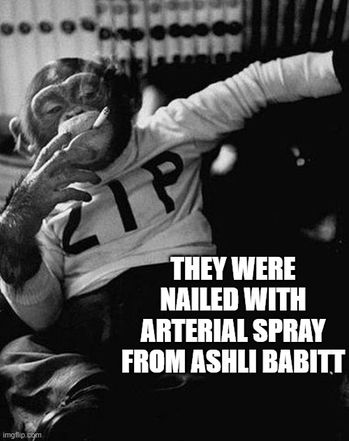 Zip the Smoking Chimp | THEY WERE NAILED WITH ARTERIAL SPRAY FROM ASHLI BABITT | image tagged in zip the smoking chimp | made w/ Imgflip meme maker