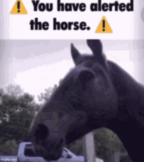 You have alerted the horse. (Static) | image tagged in you have alerted the horse static | made w/ Imgflip meme maker