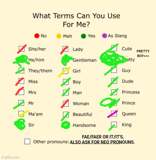 Pronouns Sheet | PRETTY BOY>>>; FAE/FAER OR IT/IT'S, ALSO ASK FOR NEO PRONOUNS. | image tagged in pronouns sheet | made w/ Imgflip meme maker