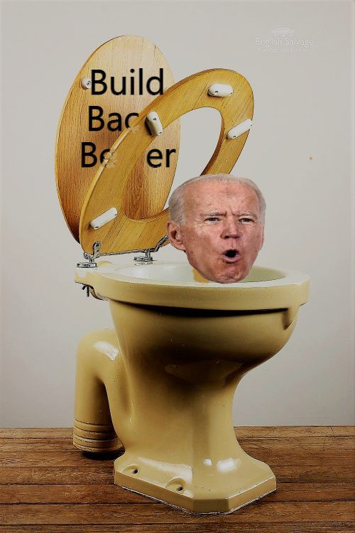 High Quality Joe in the toilet Blank Meme Template
