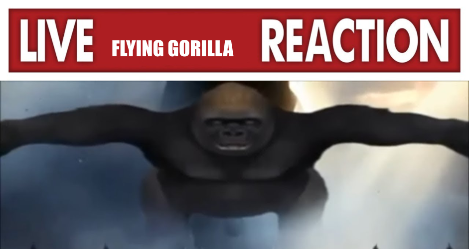 High Quality Live Flying Gorilla Reaction Blank Meme Template