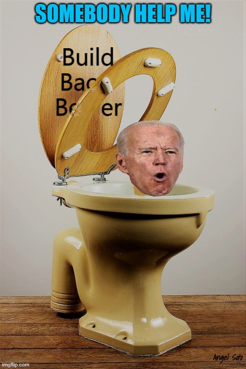Joe in the toilet | SOMEBODY HELP ME! Angel Soto | image tagged in political humor,joe biden,build back better,democrats,help me,toilet humor | made w/ Imgflip meme maker