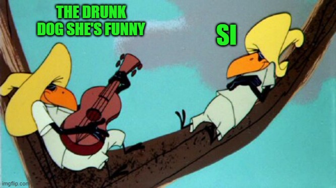funny | THE DRUNK DOG SHE'S FUNNY SI | image tagged in funny | made w/ Imgflip meme maker