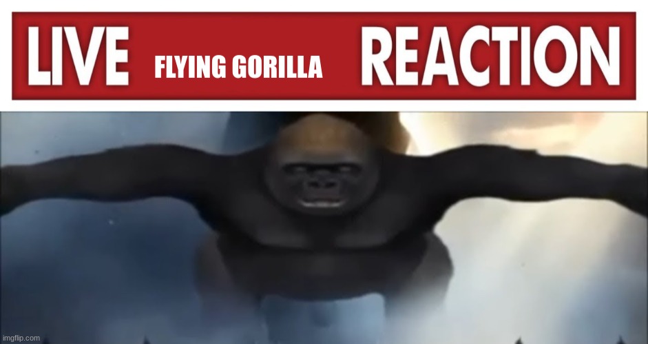 Live Flying Gorilla Reaction | image tagged in live flying gorilla reaction | made w/ Imgflip meme maker