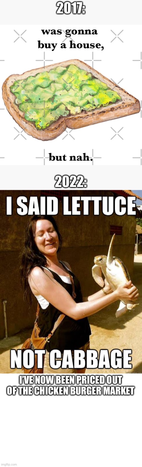 No house, no lettuce, no problem | 2017:; 2022:; I’VE NOW BEEN PRICED OUT OF THE CHICKEN BURGER MARKET | image tagged in house,lettuce,avocado,cabbage | made w/ Imgflip meme maker