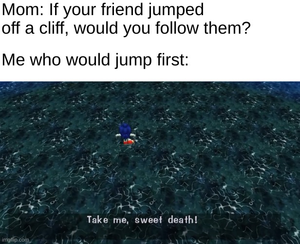 bruh | Mom: If your friend jumped off a cliff, would you follow them? Me who would jump first: | image tagged in sonic take me sweet death | made w/ Imgflip meme maker