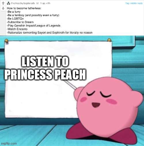 LISTEN TO PRINCESS PEACH | image tagged in peach s guide to being fatherless,kirby's lesson | made w/ Imgflip meme maker