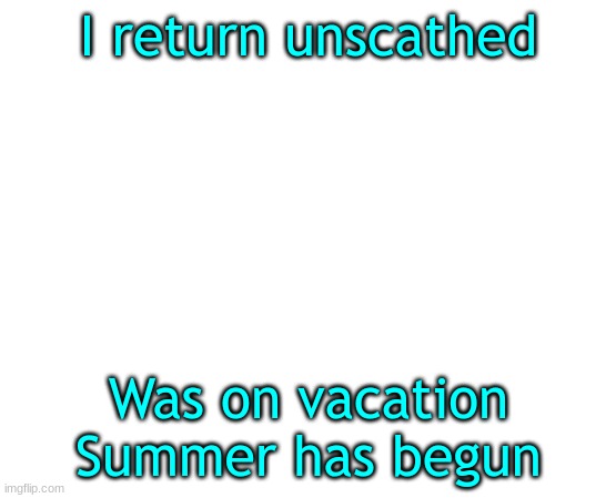 Anything I missed? (I may have seen a wild furry) | I return unscathed; Was on vacation
Summer has begun | image tagged in return,helo | made w/ Imgflip meme maker