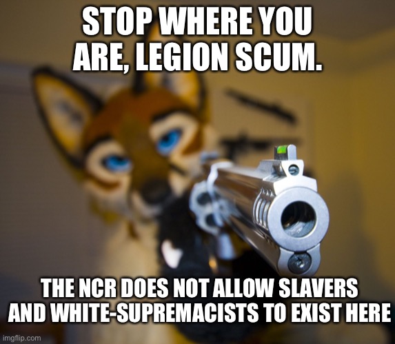 getting fallout new vegas mainly to attack slavers be like | STOP WHERE YOU ARE, LEGION SCUM. THE NCR DOES NOT ALLOW SLAVERS AND WHITE-SUPREMACISTS TO EXIST HERE | image tagged in furry with gun,fallout,fallout new vegas,furry memes,furry,the furry fandom | made w/ Imgflip meme maker
