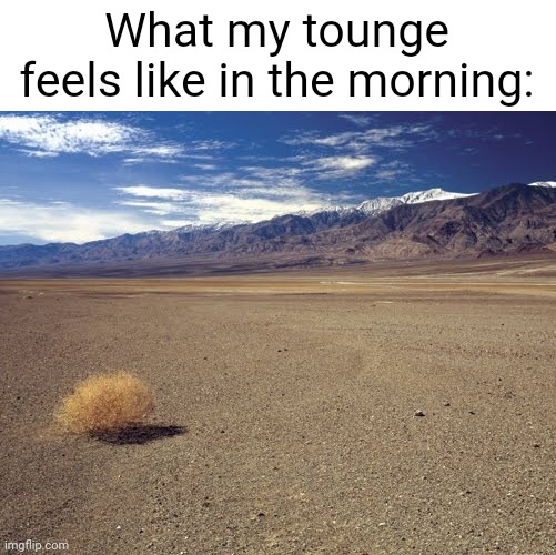 Dry as h e l l | What my tounge feels like in the morning: | image tagged in e | made w/ Imgflip meme maker