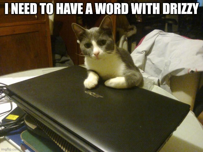 N O W | I NEED TO HAVE A WORD WITH DRIZZY | image tagged in listen up human | made w/ Imgflip meme maker
