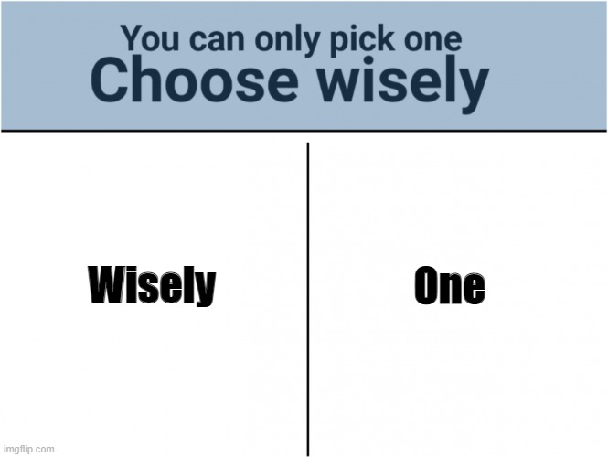 you can pick only one choose wisely | Wisely; One | image tagged in you can pick only one choose wisely | made w/ Imgflip meme maker