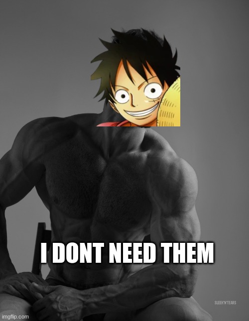 Giga Chad | I DONT NEED THEM | image tagged in giga chad | made w/ Imgflip meme maker