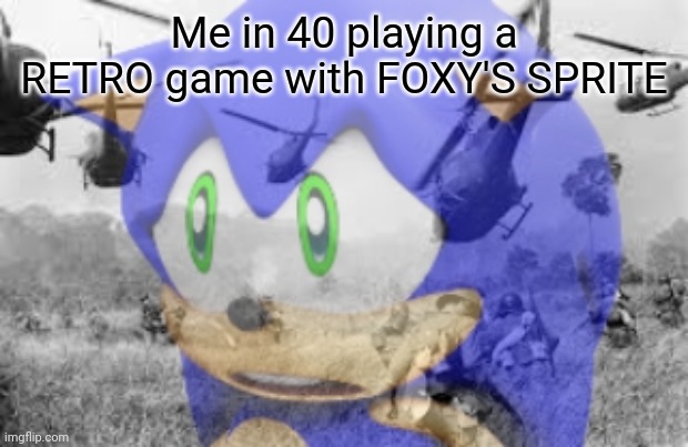 Get it | Me in 40 playing a RETRO game with FOXY'S SPRITE | image tagged in sonic veitnam war | made w/ Imgflip meme maker