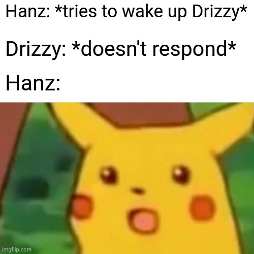 I'll try again later | Hanz: *tries to wake up Drizzy*; Drizzy: *doesn't respond*; Hanz: | image tagged in memes,surprised pikachu | made w/ Imgflip meme maker