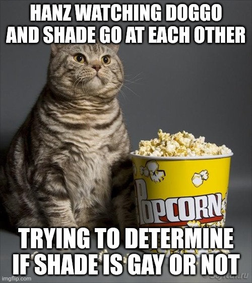 Shade may be, or may not be | HANZ WATCHING DOGGO AND SHADE GO AT EACH OTHER; TRYING TO DETERMINE IF SHADE IS GAY OR NOT | image tagged in cat eating popcorn | made w/ Imgflip meme maker