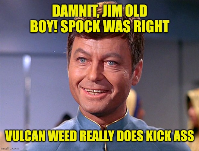 Damnit, Jim | DAMNIT, JIM OLD BOY! SPOCK WAS RIGHT; VULCAN WEED REALLY DOES KICK ASS | image tagged in star trek | made w/ Imgflip meme maker