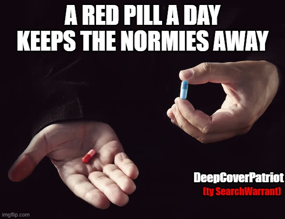 Redpill | A RED PILL A DAY KEEPS THE NORMIES AWAY; DeepCoverPatriot; (ty SearchWarrant) | image tagged in redpill | made w/ Imgflip meme maker