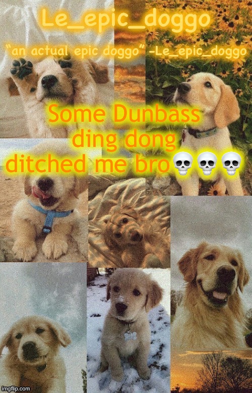Doggo temp by doggo. Wait what that’s confusing | Some Dunbass ding dong ditched me bro💀💀💀 | image tagged in doggo temp by doggo wait what that s confusing | made w/ Imgflip meme maker