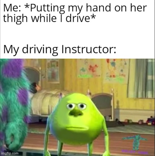 Bro | image tagged in mike wasowski sully face swap,memes,funny,driving instructor | made w/ Imgflip meme maker