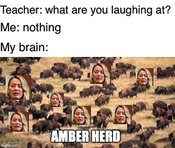 AMBER HERD | image tagged in teacher what are you laughing at | made w/ Imgflip meme maker