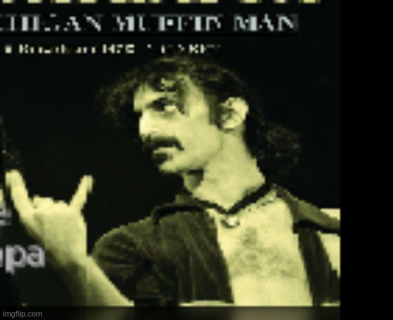 almost metal | image tagged in zappa | made w/ Imgflip meme maker
