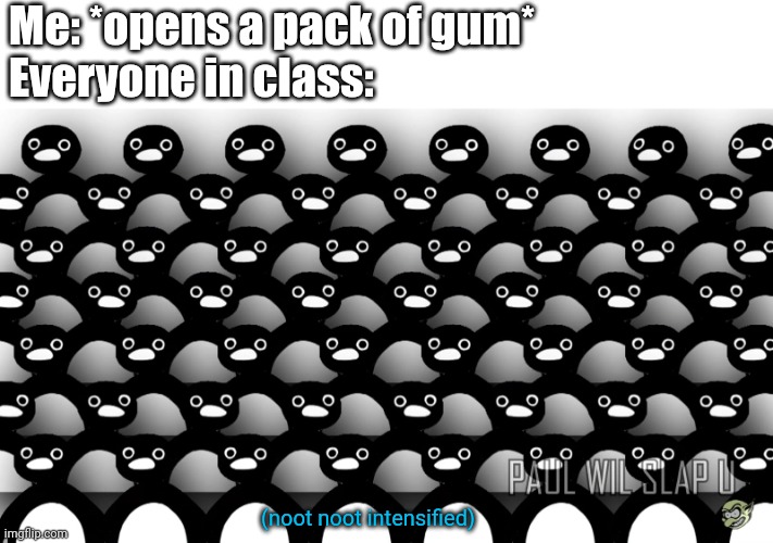 Our gum | Me: *opens a pack of gum*
Everyone in class:; (noot noot intensified) | image tagged in noot noot,memes,meme,penguin | made w/ Imgflip meme maker