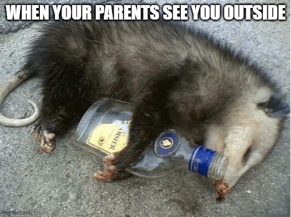 Drunk Possum | WHEN YOUR PARENTS SEE YOU OUTSIDE | image tagged in drunk possum | made w/ Imgflip meme maker