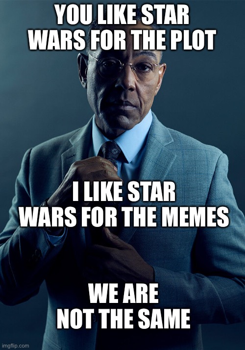 Gus Fring we are not the same | YOU LIKE STAR WARS FOR THE PLOT; I LIKE STAR WARS FOR THE MEMES; WE ARE NOT THE SAME | image tagged in gus fring we are not the same | made w/ Imgflip meme maker