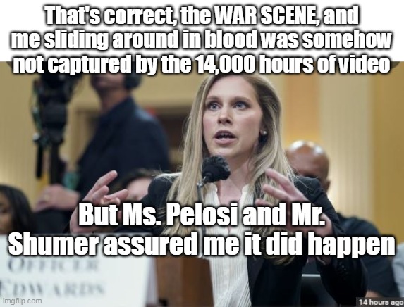 Maybe I dreamed it | That's correct, the WAR SCENE, and me sliding around in blood was somehow not captured by the 14,000 hours of video; But Ms. Pelosi and Mr. Shumer assured me it did happen | image tagged in memes | made w/ Imgflip meme maker