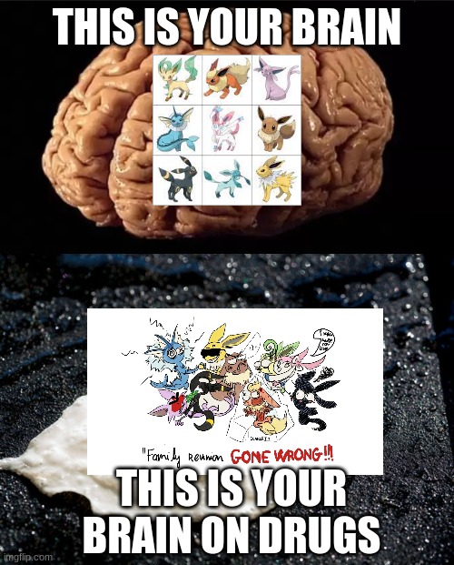 That's right |  THIS IS YOUR BRAIN; THIS IS YOUR BRAIN ON DRUGS | image tagged in this is your brain | made w/ Imgflip meme maker