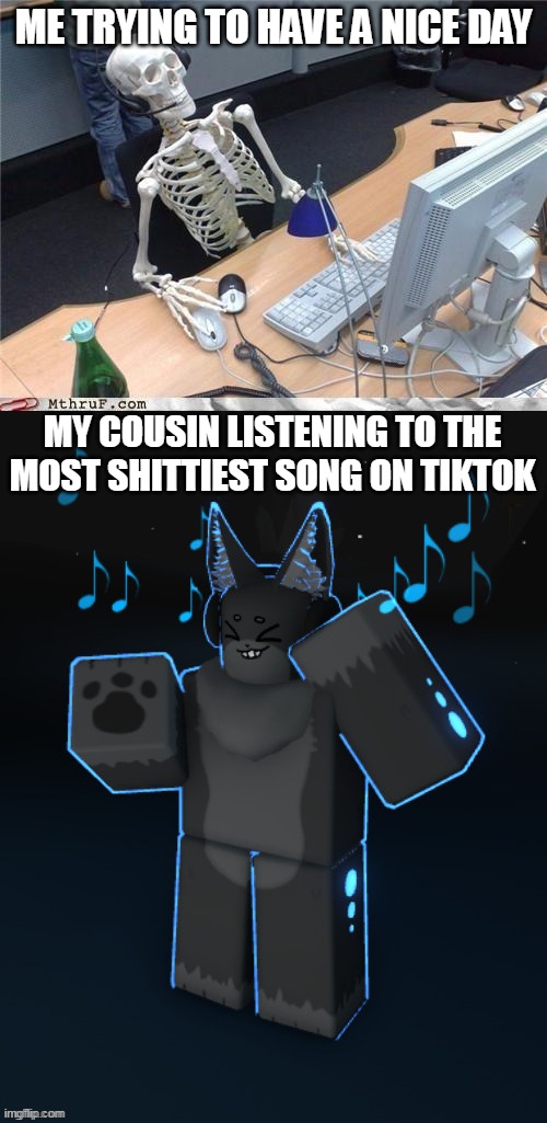 ME TRYING TO HAVE A NICE DAY; MY COUSIN LISTENING TO THE MOST SHITTIEST SONG ON TIKTOK | image tagged in waiting skeleton | made w/ Imgflip meme maker