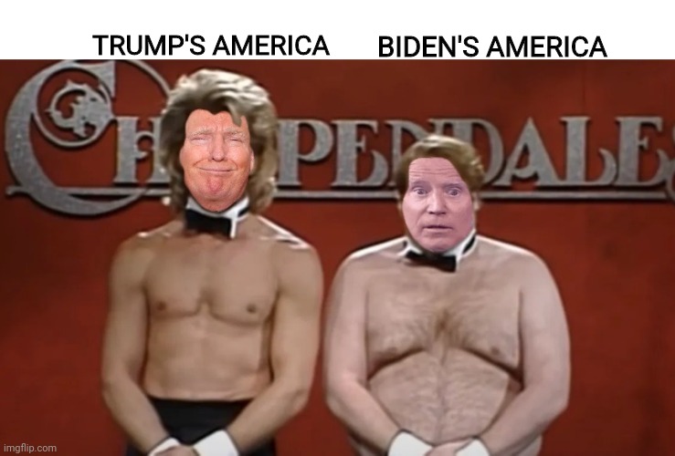 Trump's America vs bidens America | BIDEN'S AMERICA; TRUMP'S AMERICA | image tagged in donald trump,joe biden,america,chris farley,patrick swayze,snl | made w/ Imgflip meme maker
