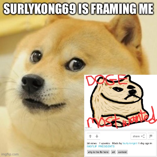 Doge | SURLYKONG69 IS FRAMING ME | image tagged in memes,doge | made w/ Imgflip meme maker