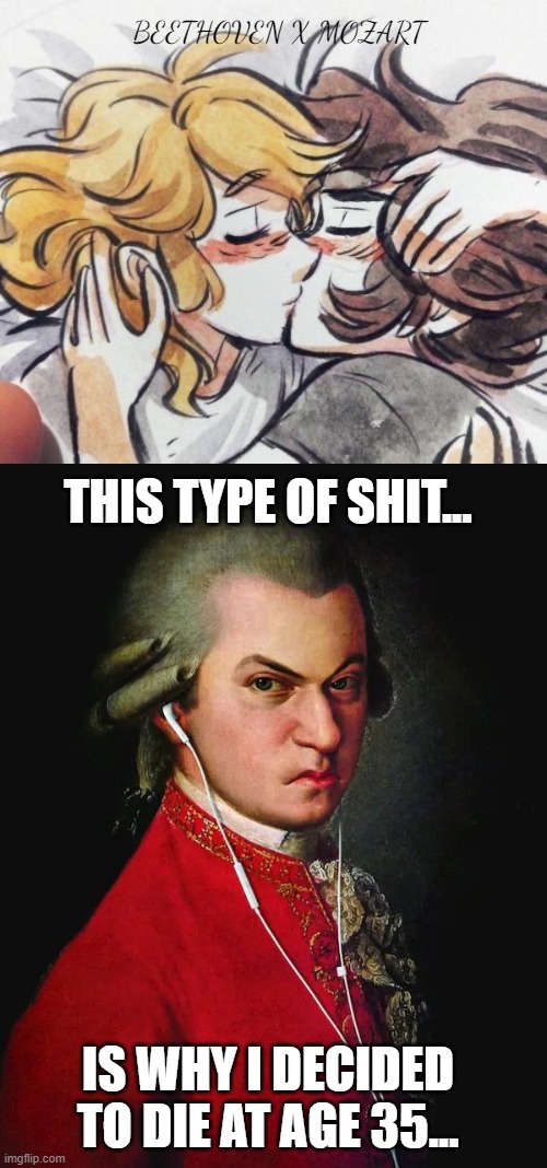beethoven x mozart | BEETHOVEN X MOZART; THIS TYPE OF SHIT... IS WHY I DECIDED TO DIE AT AGE 35... | image tagged in mozart | made w/ Imgflip meme maker