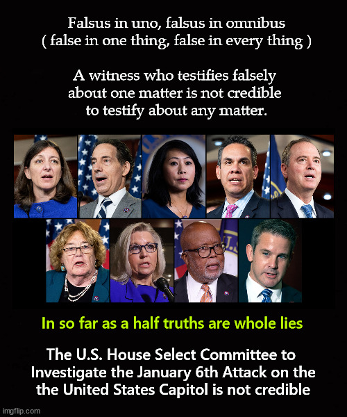 Falsus in uno, falsus in omnibus | Falsus in uno, falsus in omnibus
( false in one thing, false in every thing )
 
A witness who testifies falsely 
about one matter is not credible 
to testify about any matter. In so far as a half truths are whole lies; The U.S. House Select Committee to 
Investigate the January 6th Attack on the

the United States Capitol is not credible | made w/ Imgflip meme maker
