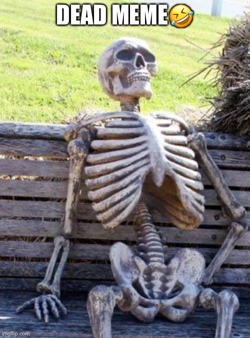 Waiting Skeleton | DEAD MEME🤣 | image tagged in memes,waiting skeleton | made w/ Imgflip meme maker