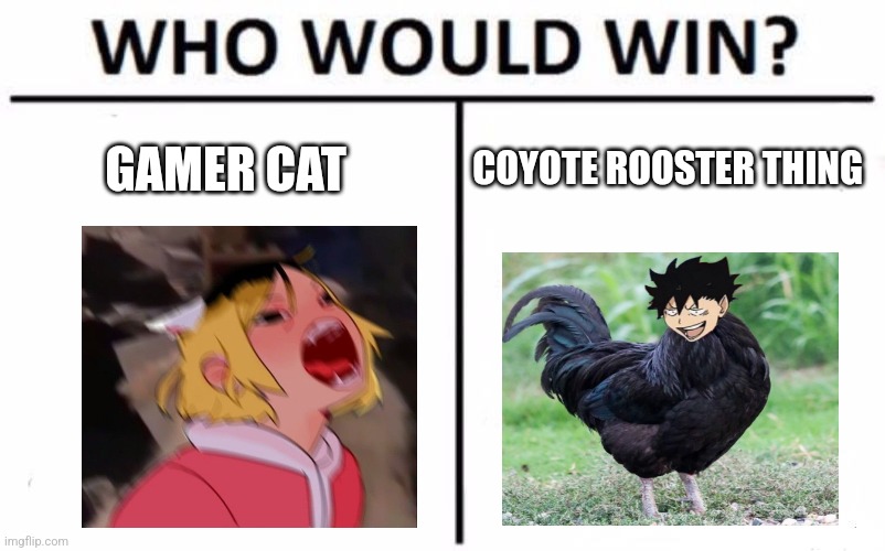 Kuroo vs kenma?? | GAMER CAT; COYOTE ROOSTER THING | image tagged in memes,who would win | made w/ Imgflip meme maker