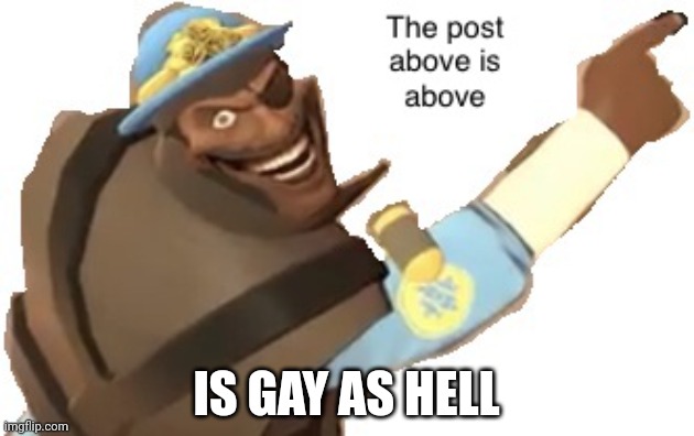 Post above | IS GAY AS HELL | image tagged in post above | made w/ Imgflip meme maker
